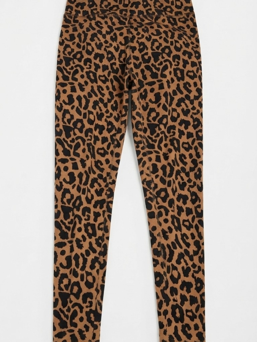 wild fable Brown and Black Leopard Print Womens Leggings